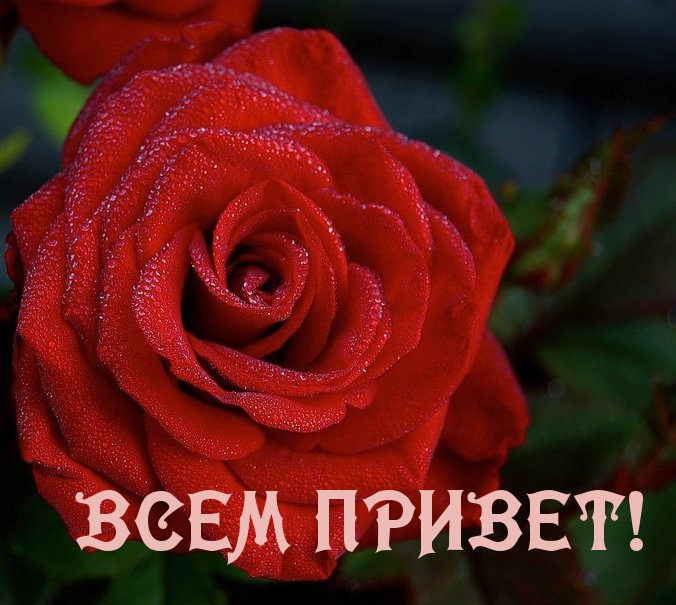 http://www.imagetext.ru/pics_max/images_11647.jpg