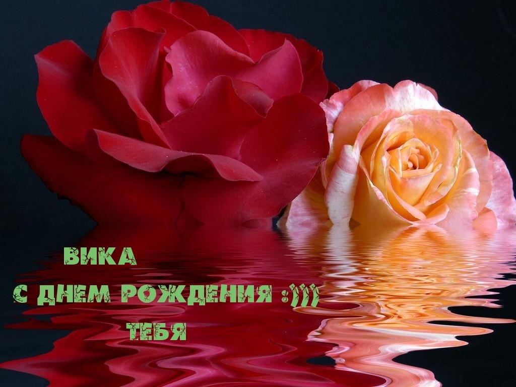 Прикольные картинки с надписями с днем свадьбы Прикольные картинки с надписями с днем свадьбы