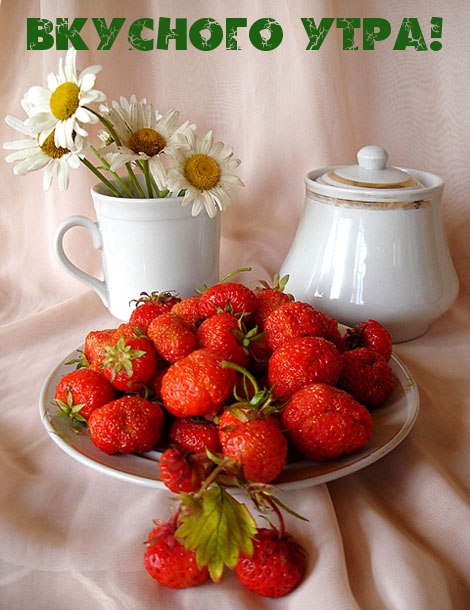 http://www.imagetext.ru/pics_max/images_3585.jpg