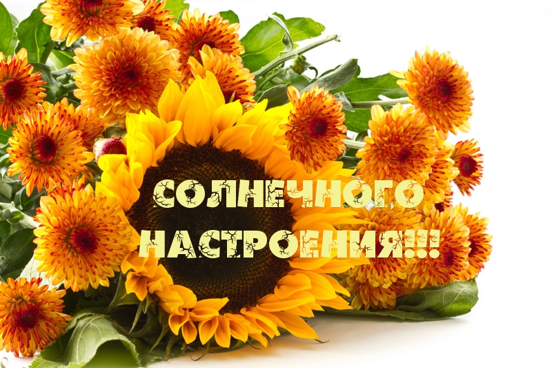 http://www.imagetext.ru/pics_max/images_3754.jpg