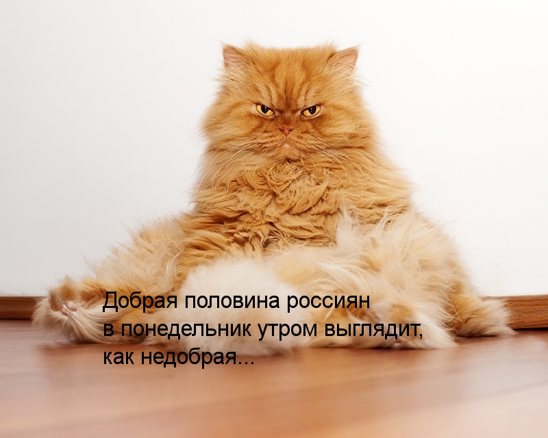 Добрая - не добрая