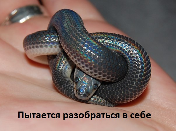 Когда пытаешься разобраться в себе.