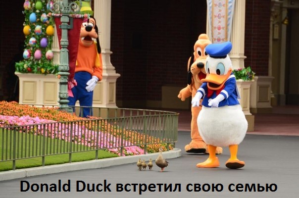 Картинки с надписями Встреча уток