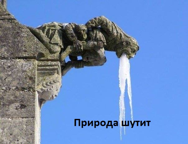 Картинки с надписями Природа шутит