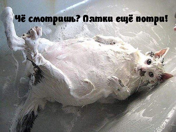 Картинки с надписями Три пятки, раб!