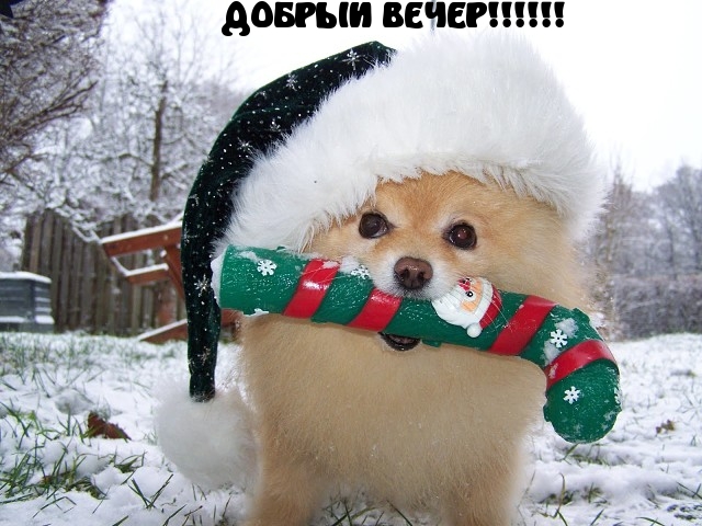   :  !