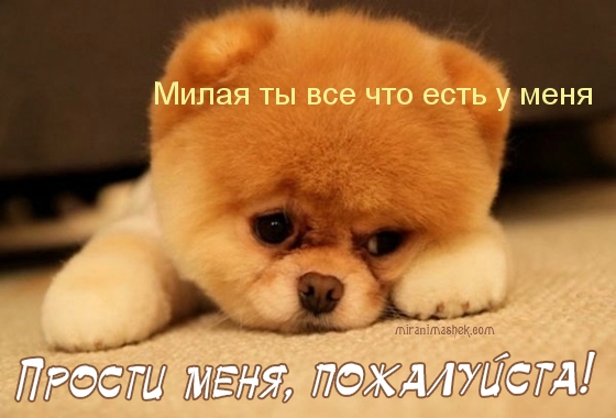   :   