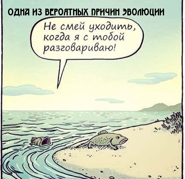 Картинки с надписями Толчок для эволюции