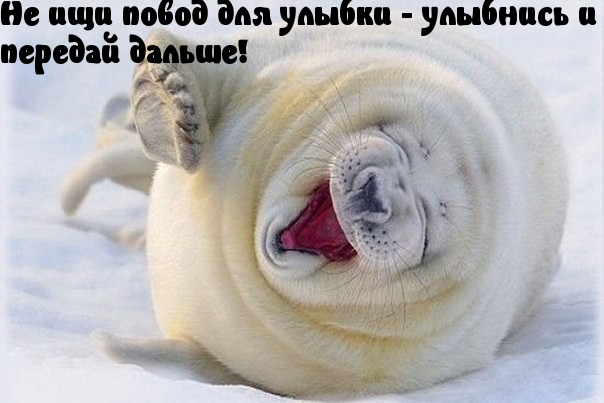 Передай улыбку.