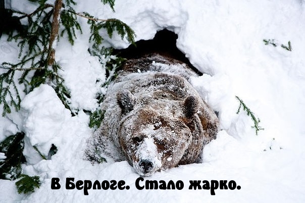 Картинки с надписями Стало жарко.