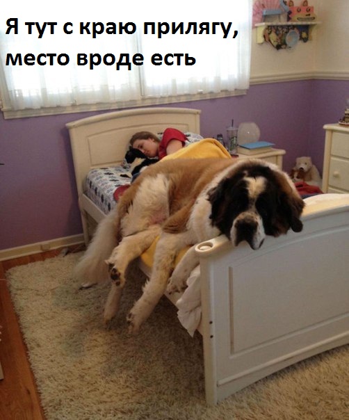 Картинки с надписями Примощусь на краю