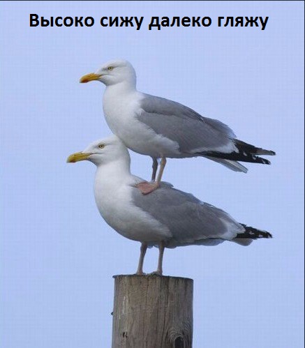 Картинки с надписями Друг поможет