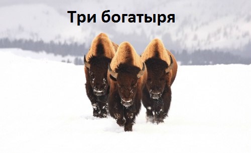   :  