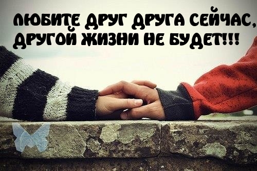   :   