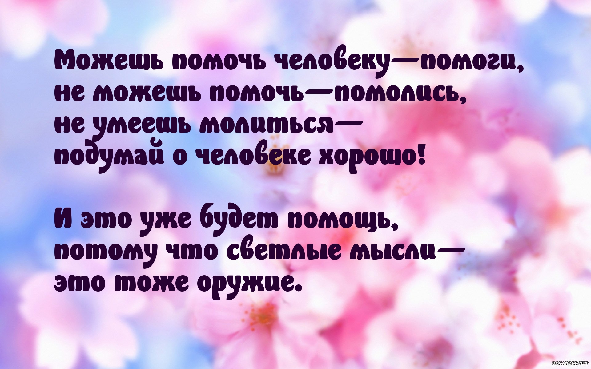   :   -  