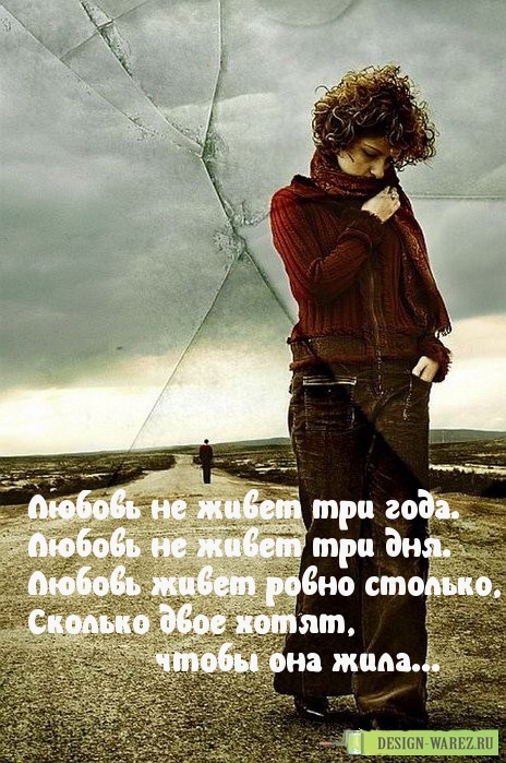   :  