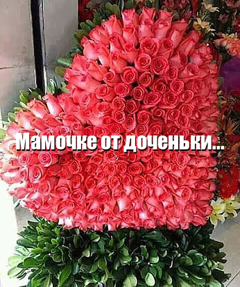   :  
