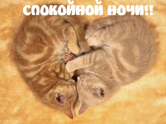   :  !