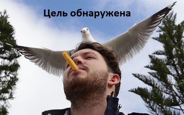 Картинки с надписями Цель обнаружена