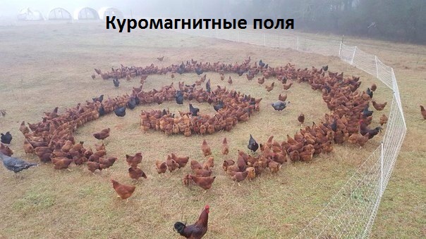 Картинки с надписями Куромагнитные поля