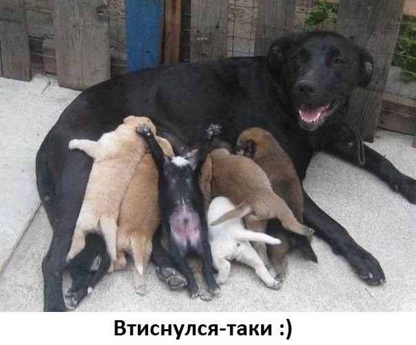 Картинки с надписями Втиснулся-таки