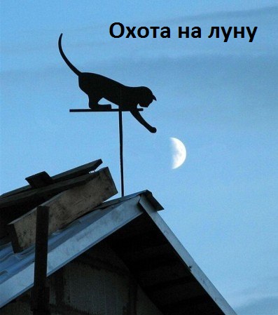 Охота на луну.