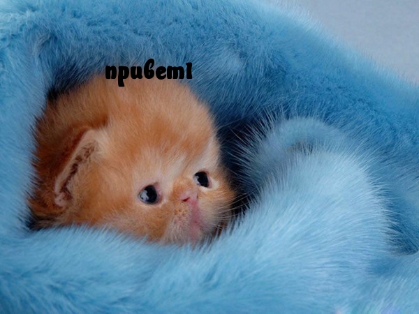   : 