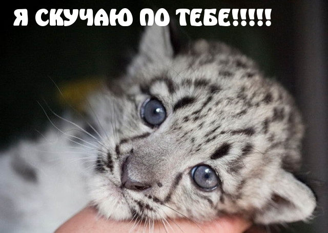Я СКУЧАЮ ПО ТЕБЕ!.