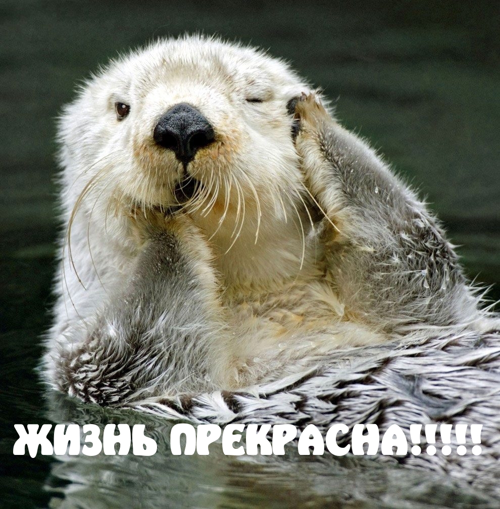   :  !