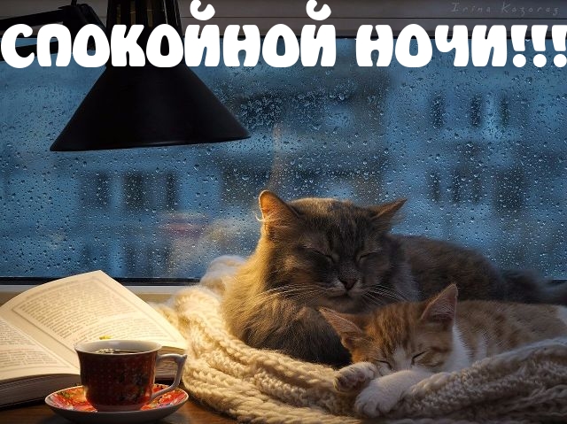   :  !