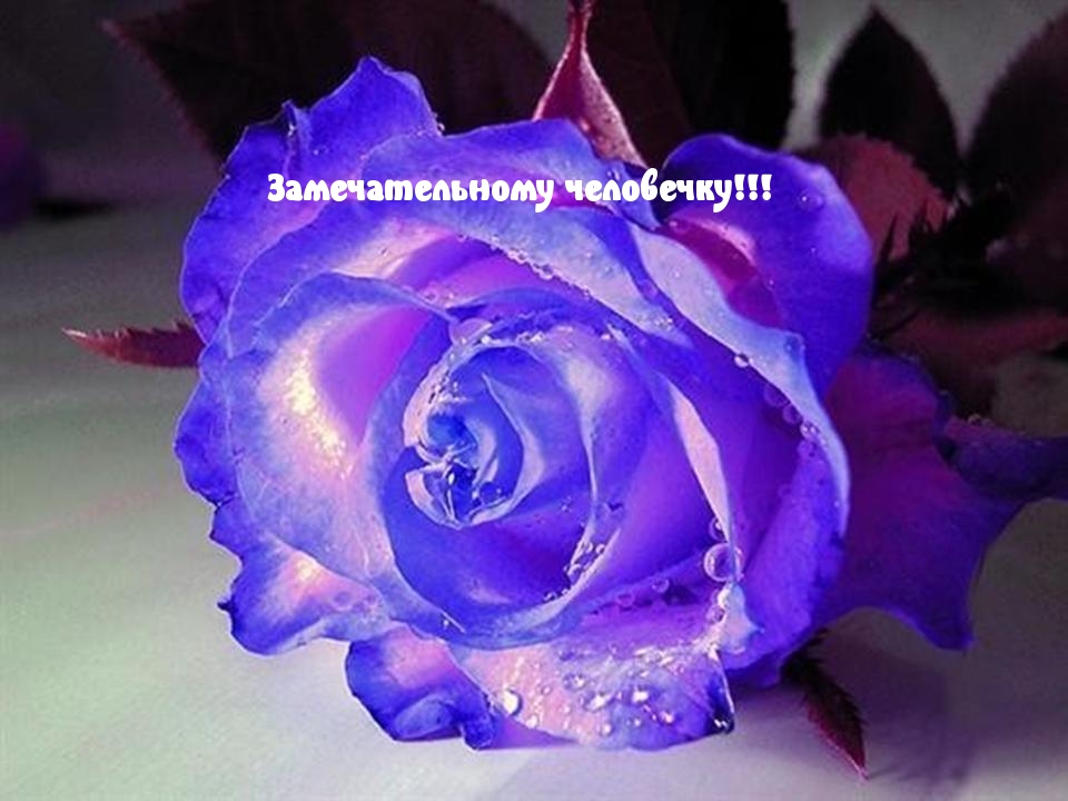  :  !