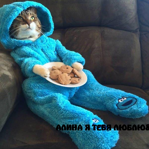   :    