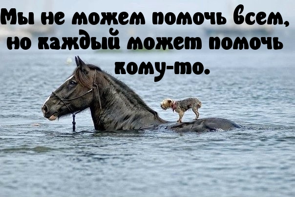   :   !
