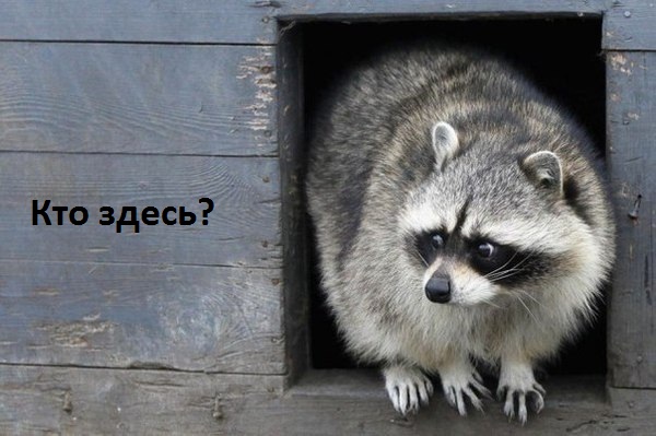  ?.