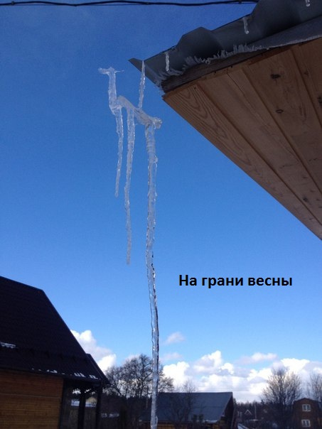 На грани весны.