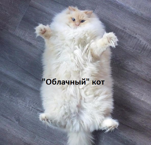 Картинки с надписями Облачный кот