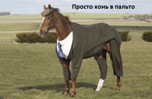   :    