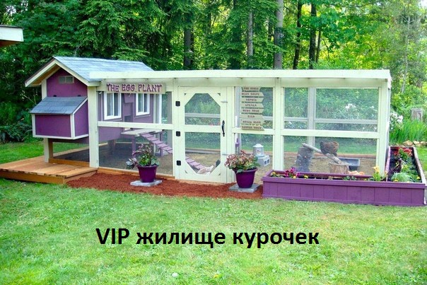   :  