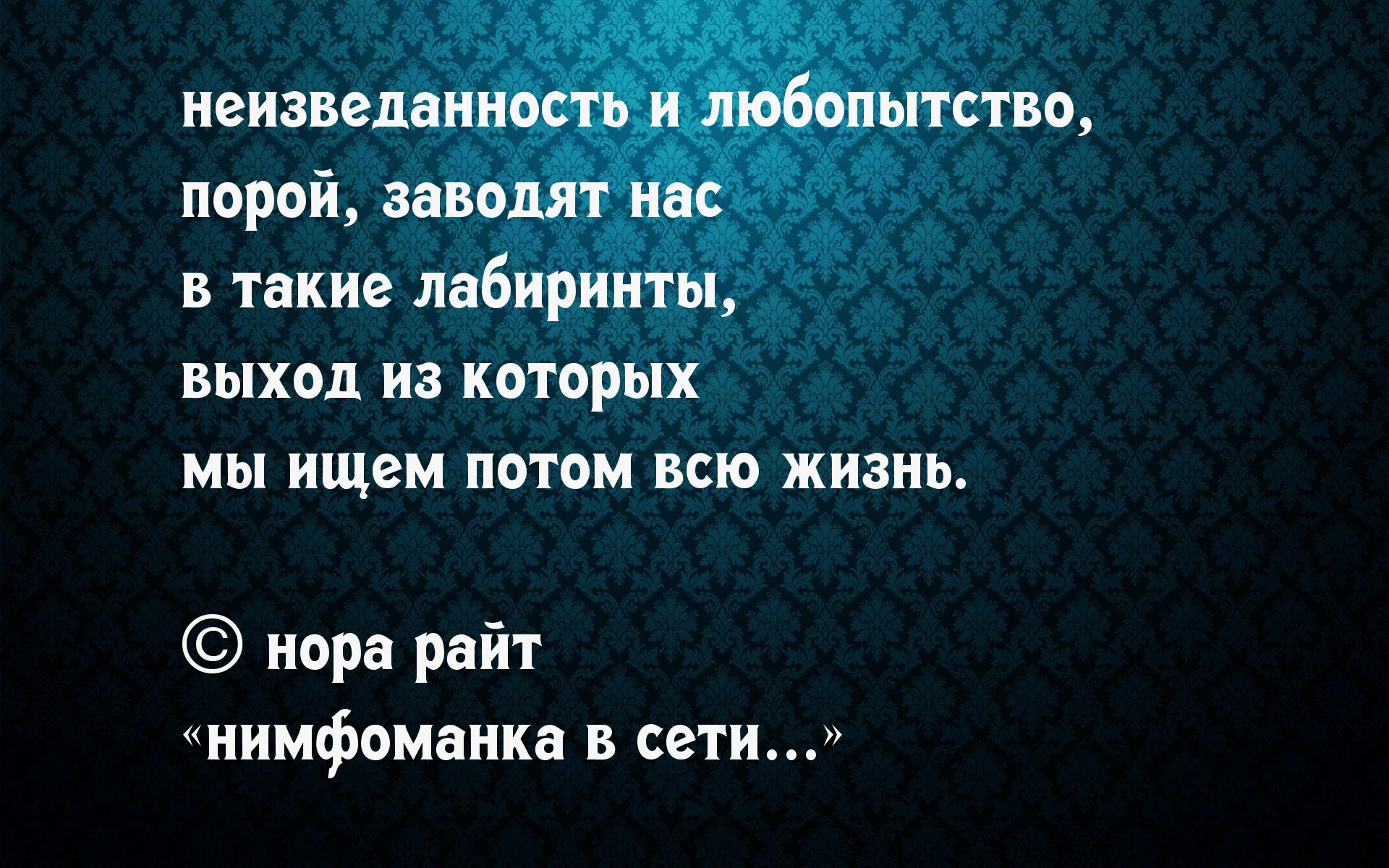 Неизведанность. Высказывания про любопытство. Афоризмы про любопытство. Любопытство цитаты. Любопытство цитаты и афоризмы.