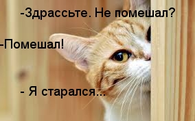 Картинки с надписями Старался мешать