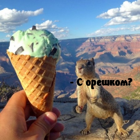 Картинки с надписями С орешком?