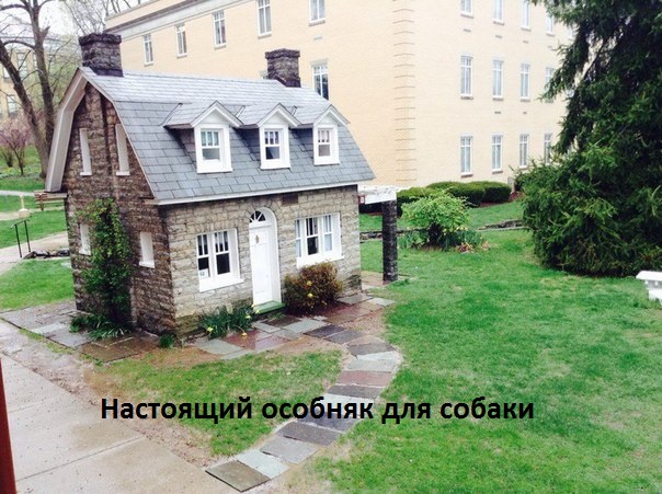 Картинки с надписями Будка-особняк