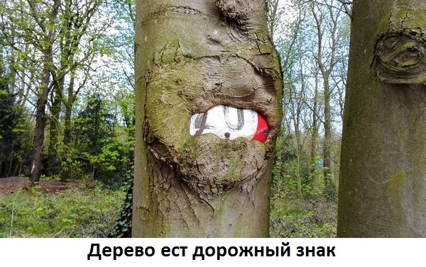 Сила природы.