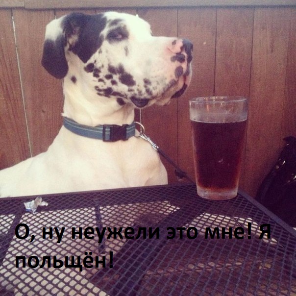 Картинки с надписями Я польщён!