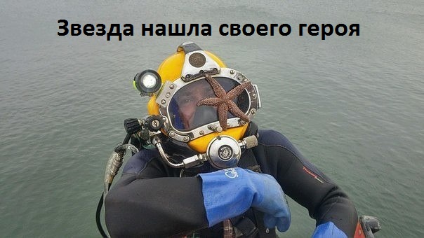  :  