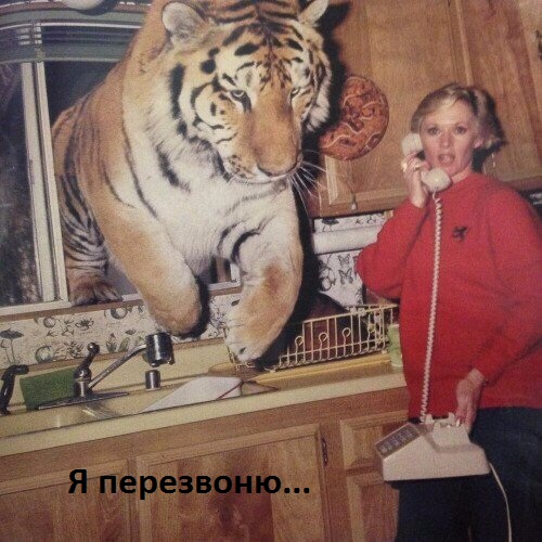 Картинки с надписями Пожалуй перезвоню