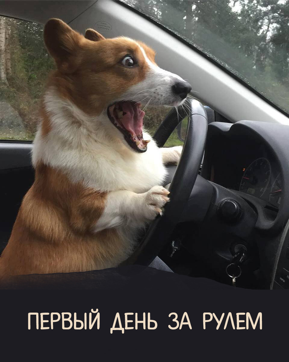   :    