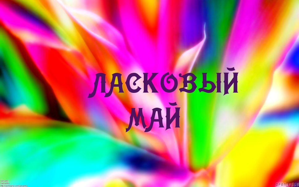   :  