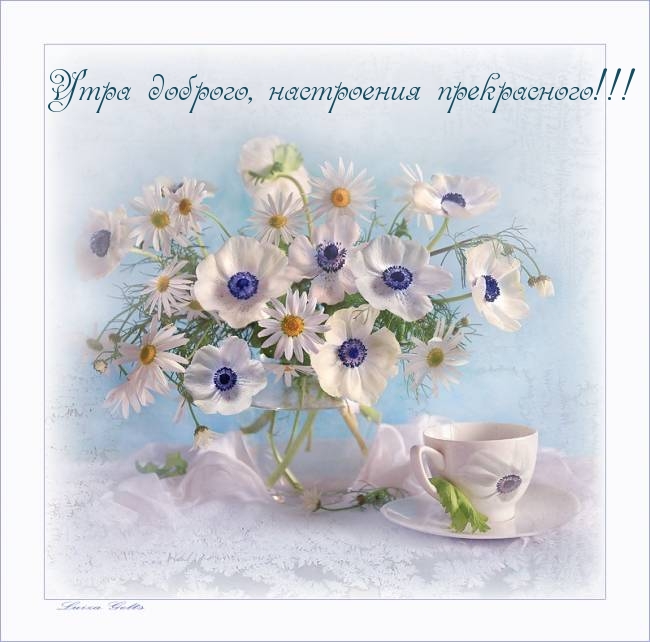 Утра доброго, настроения прекрасного!.