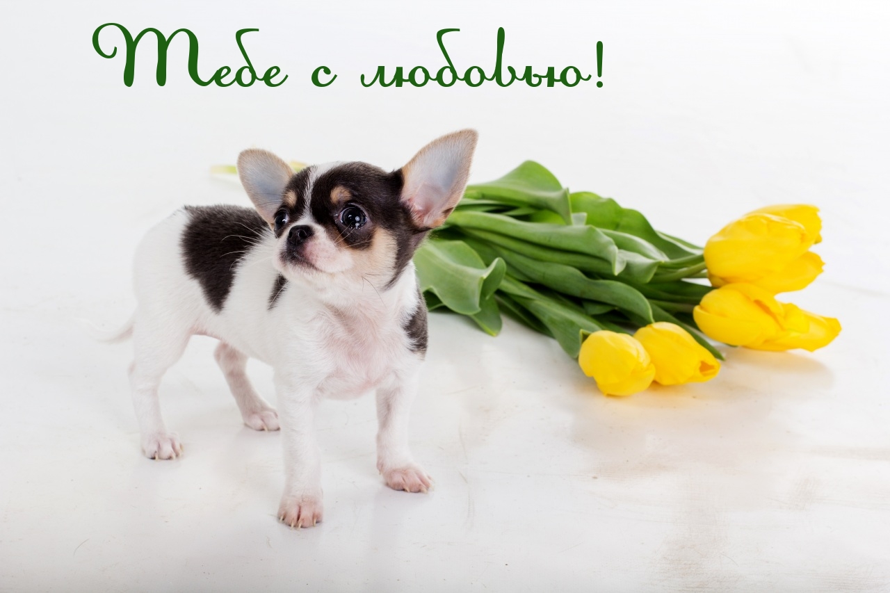 Тебе с любовью!